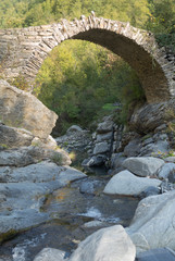 Fototapeta na wymiar The arch bridge in mountains, Alps, Italy