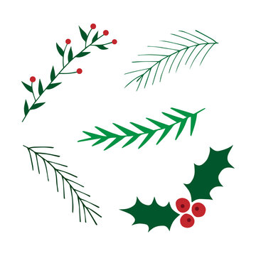 Hand drawn christmas set. Mistletoe and leavy branches vector illustrations. Conifer tree branches.