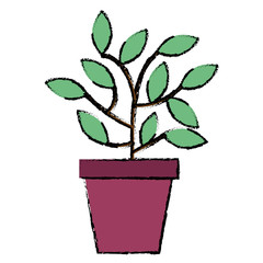 plant in pot icon vector illustration design