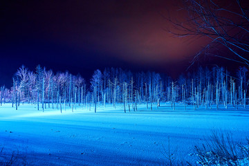ライトアップされた美瑛白金の青い池
