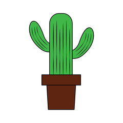 cute potted cactus natural plant decoration vector illustration