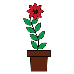 potted flower leaves plant natural decoration vector illustration