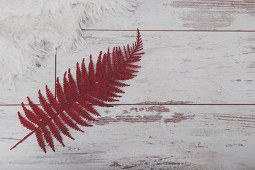 red fern decoration on the white background © Kishyru