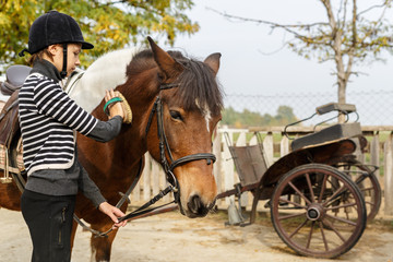 Horse care- young girl brushes her horse in the yard