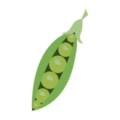 Fresh peas vegetable