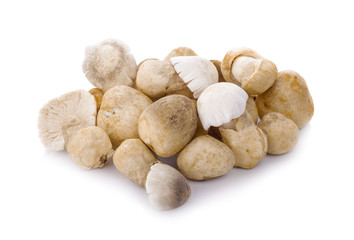 Straw mushrooms in isolated white background