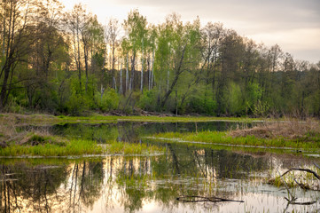 Fototapeta na wymiar Spring catering. A beautiful spring landscape with a swamp, Sunrise. Green forest and cloudy sky with clouds. Natural environmental concept in the open air.