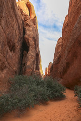 Trail to Sand dune arch in Arches National Park, Utah