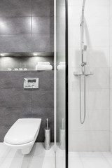 Toilet and shower in bathroom