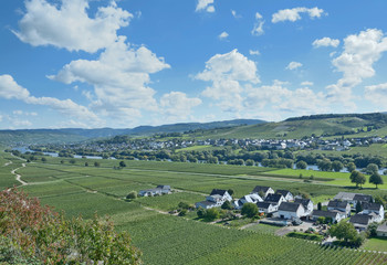 Fototapeta na wymiar Blick in die Weinregion Mittelmosel,Rheinland-Pfalz,Deutschland