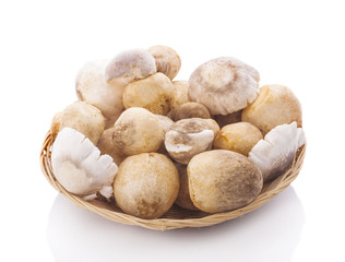 Straw mushrooms in isolated white background