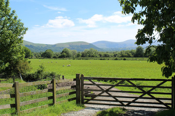 Fototapeta na wymiar Field with fence and gate, framed by trees and looking toward the hills. Lake District, UK.
