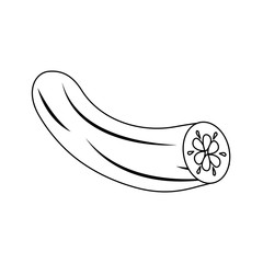 Cucumber fresh vegetable