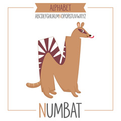 Illustrated Alphabet Letter N and Numbat