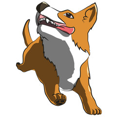 Cane corgi che corre felice. Illustrazione vettoriale.