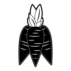 Fresh carrots vegetable icon vector illustration graphic design
