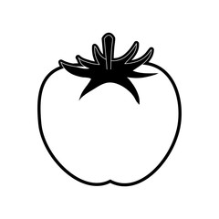 Tomato fresh vegetable icon vector illustration graphic design