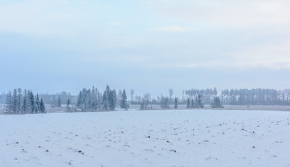 Winter field, Fog in the field