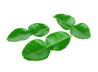 Kaffir lime leaves isolated on white background