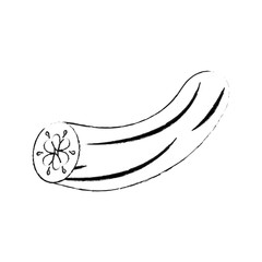 Cucumber fresh vegetable icon vector illustration graphic design