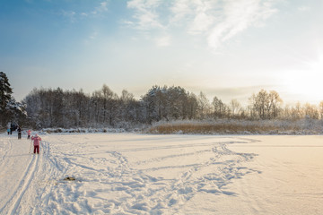 Fototapeta premium Winter Path in the Forest, Grove, Trees, Snow Day