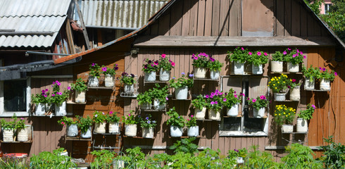 many flowers in flowerpots on the wall of a wooden house, landscape design