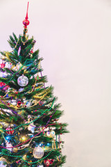 Christmas tree stands on white wall background