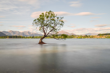 Fototapeta na wymiar Long exposure of That Wanaka tree in New Zealand Southland