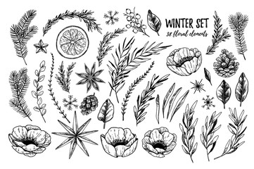 Vector illustrations - Winter floral set (flowers, leaves and branches). Hand drawn Christmas elements in sketch style. Perfect for invitations, greeting cards, tattoo, prints, postcards etc