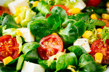 Dieting healthy salad  close up. Mixed greens, tomatos, diet cheese, olive oil and spices for healthy lifestyle concept.
