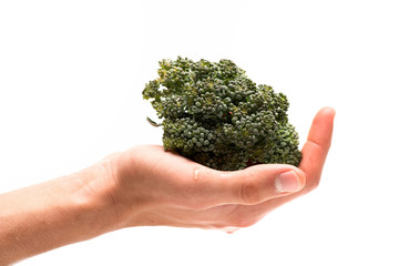 Naklejka na ściany i meble Healthy nutrition and vegan diet concept. Broccoli in female palm