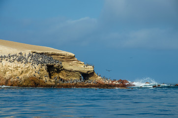 Paracas National Park in Peru