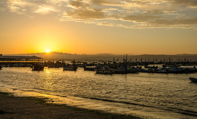 Obraz premium Paracas National Park in Peru