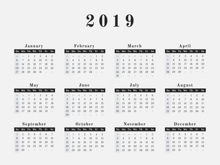 2019 Year Calendar horizontal design