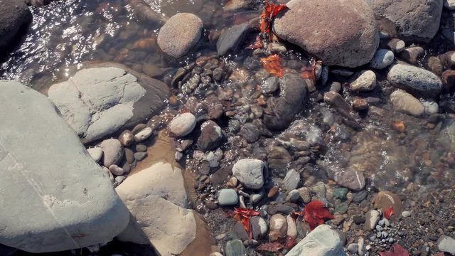 Sequence of red maple leaves and big rocks in fast running water on bright sunny autumn day. 4K