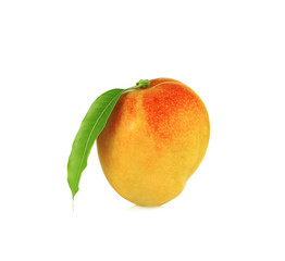 mango fruit isolated on white background