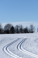 Fototapeta na wymiar winter sports cross-country skiing