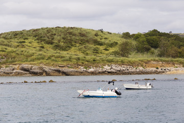 Obraz premium small outboard boats moored at the entrance to a seaport 