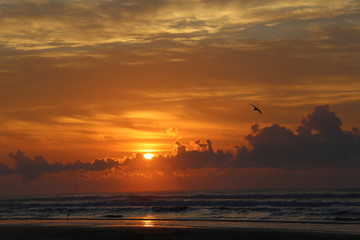 Folly Beach Sunrise