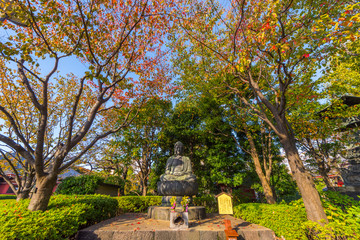 Obraz premium Beautiful Japanese Garden in Autumn Season, Tokyo, Japan