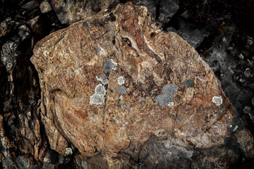 Big stone. Abstract stone background. Grunge backdrop