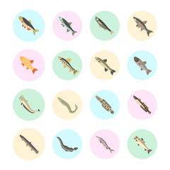 Set Vector Flat Icons of Freshwater Fish