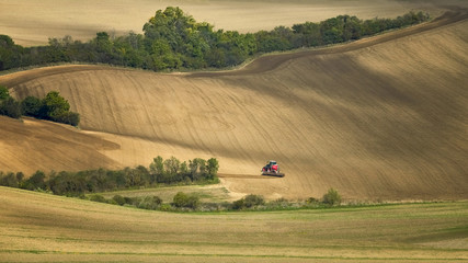 Fototapeta na wymiar The tractor sows the fields, Moravia, Czech Republic