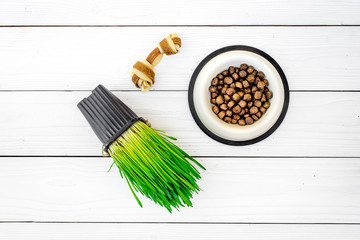 Toys for dog near dry food in bowl and grass in pot on white wooden background top view copyspace