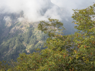 Madeira