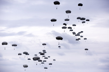 lots of parachutists in the sky