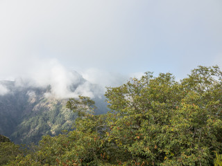 Madeira