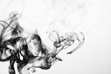 Obraz premium Black Ink with Water