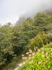 Madeira