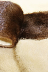 Fur of the brown and light mink